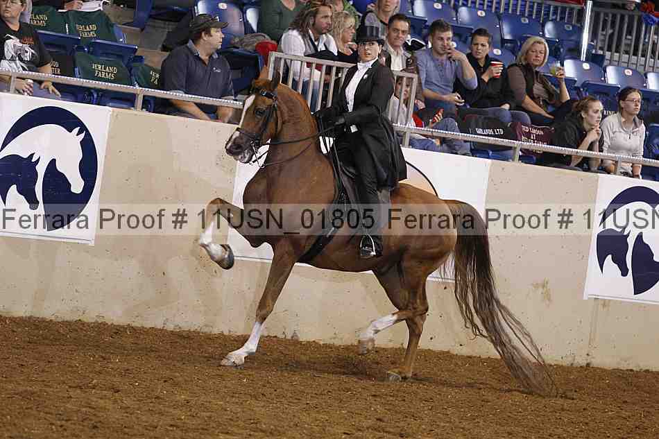 Proof 11usn_01805