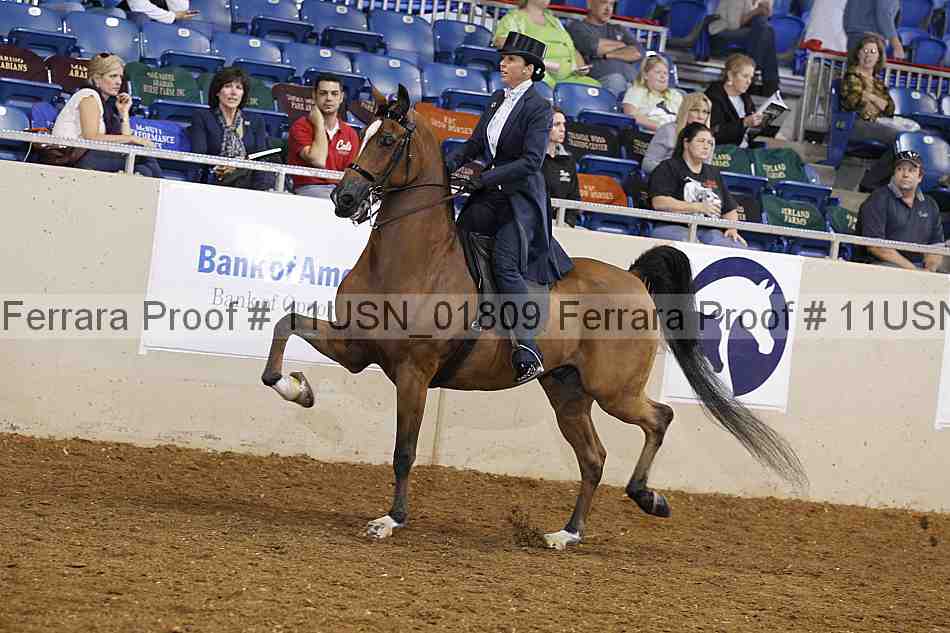 Proof 11usn_01809