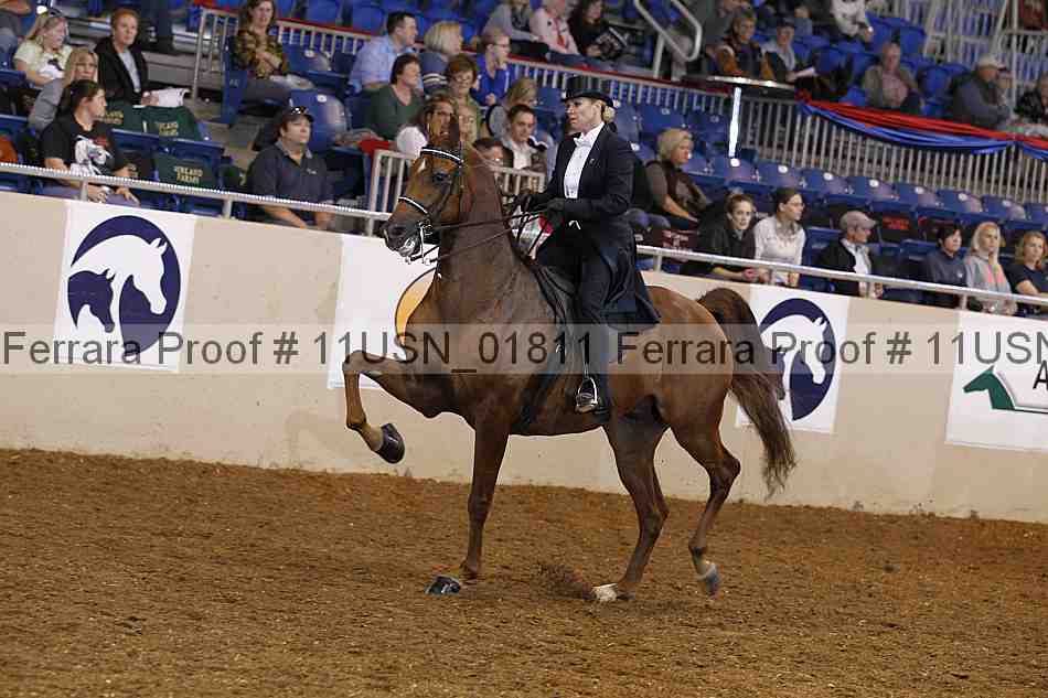 Proof 11usn_01811