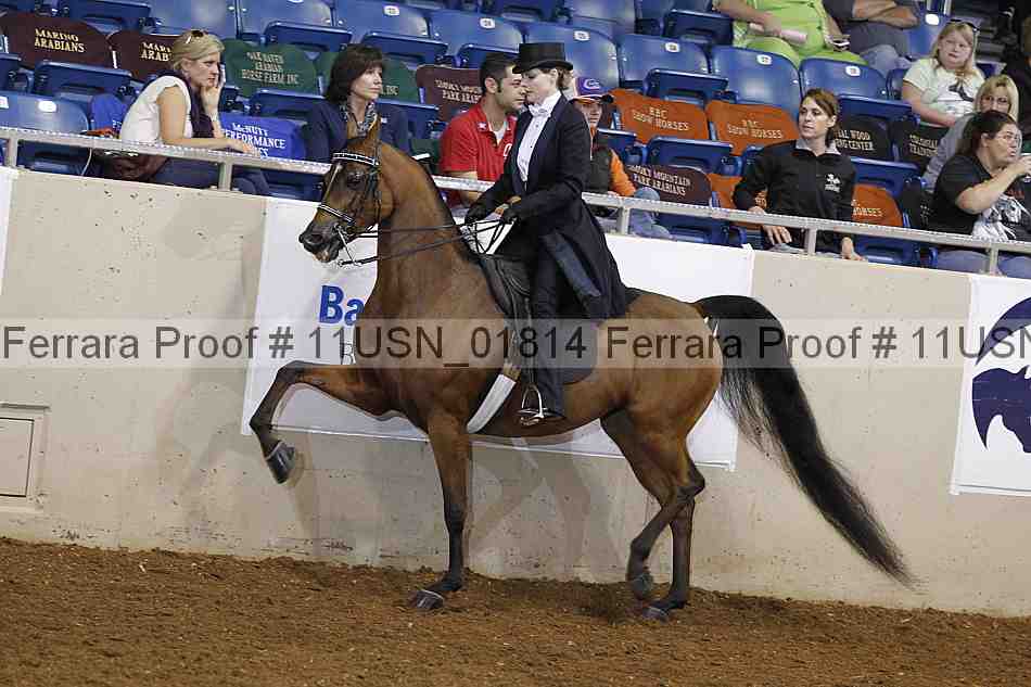 Proof 11usn_01814