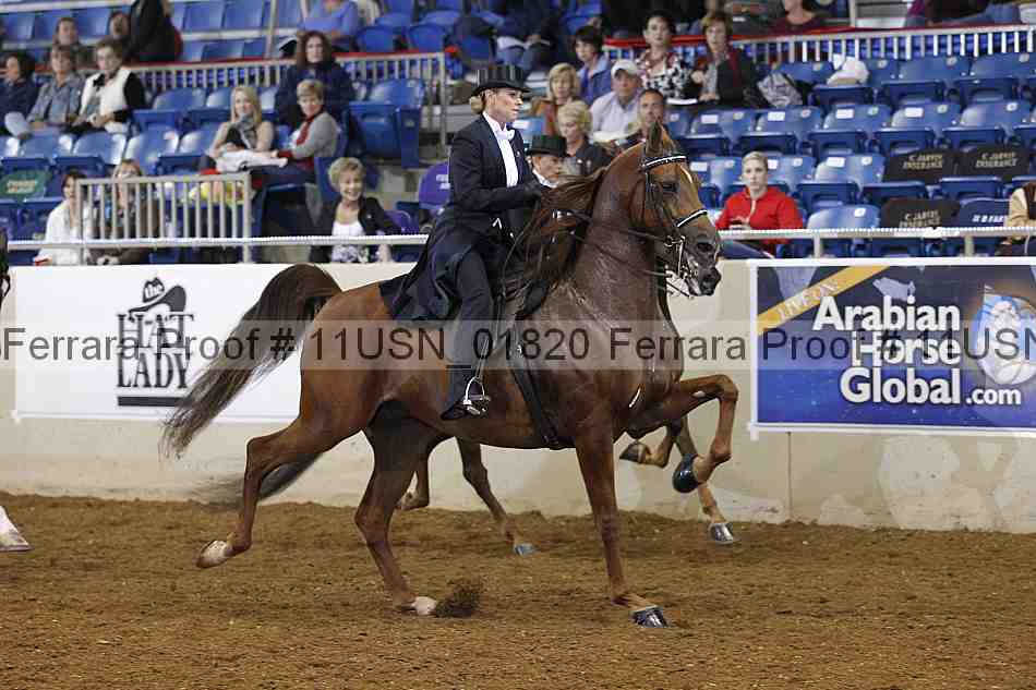 Proof 11usn_01820