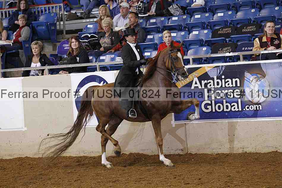 Proof 11usn_01824