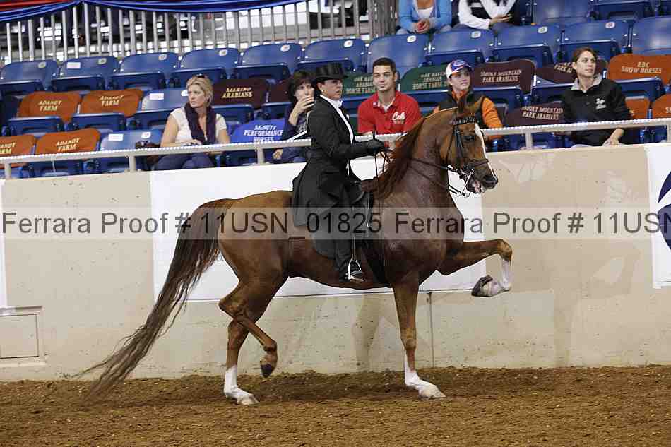 Proof 11usn_01825