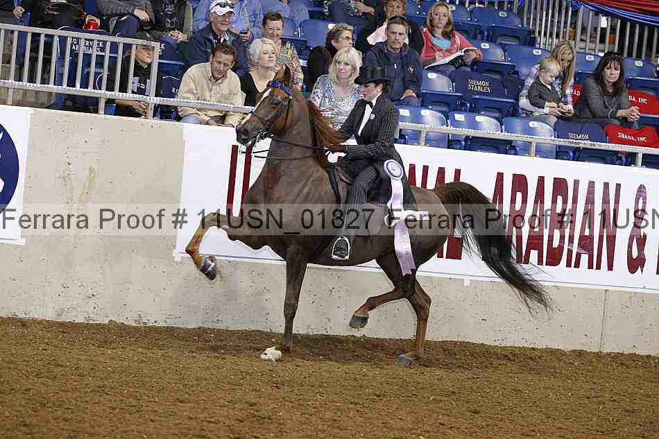 Proof 11usn_01827