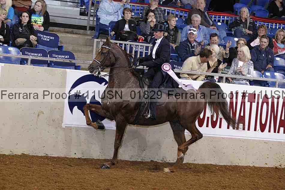 Proof 11usn_01829
