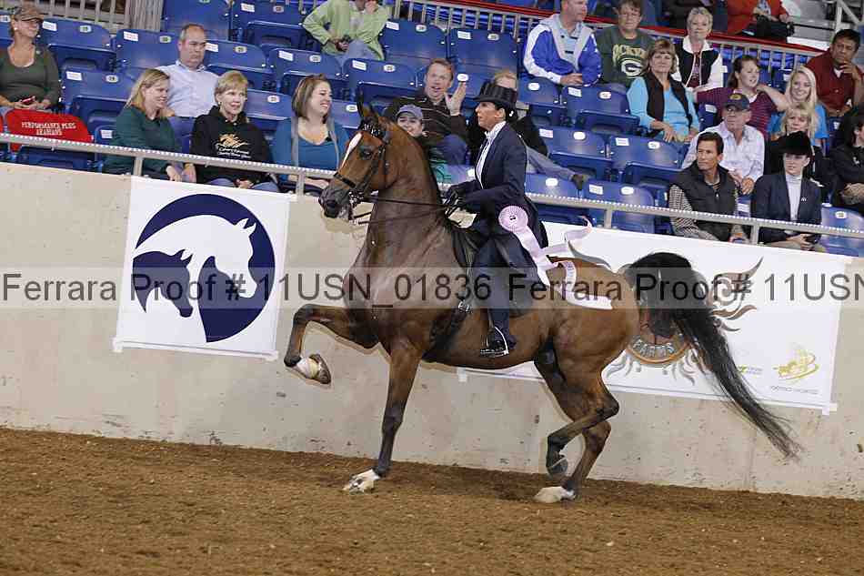 Proof 11usn_01836
