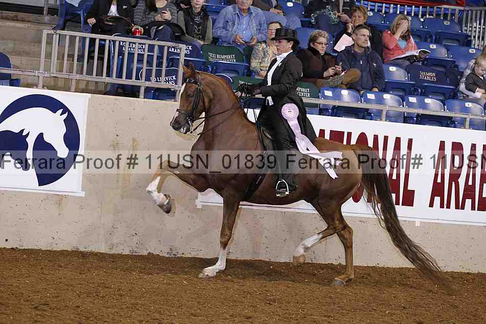 Proof 11usn_01839