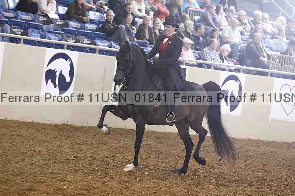 Proof 11usn_01841