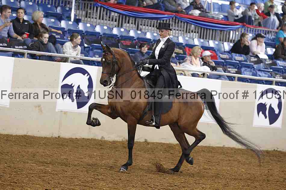 Proof 11usn_01845