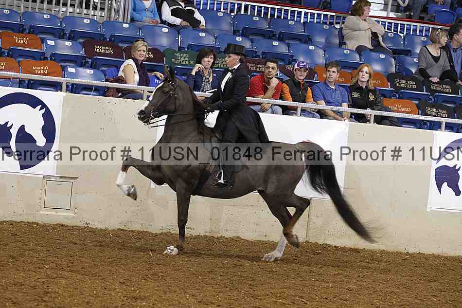 Proof 11usn_01848