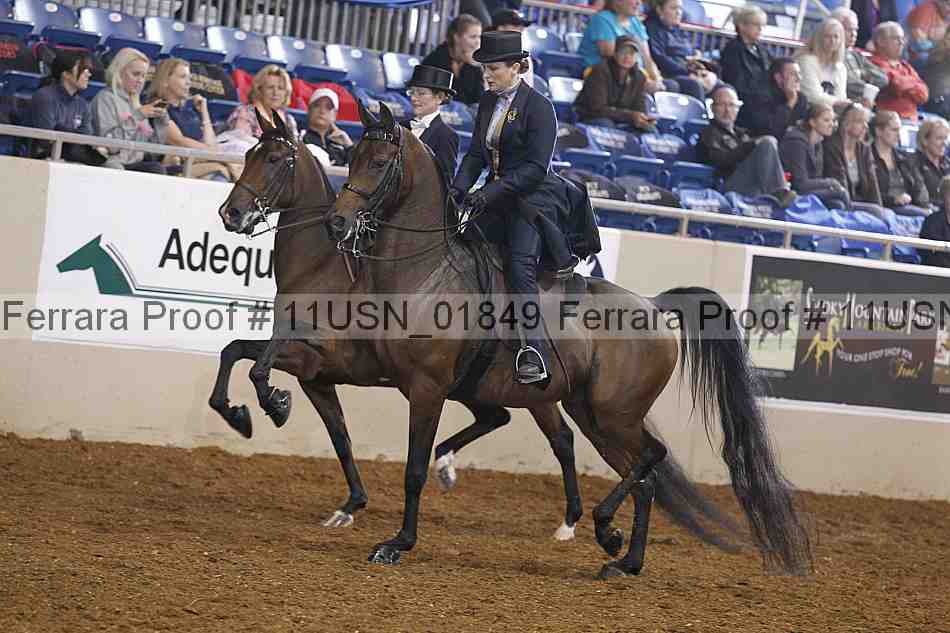 Proof 11usn_01849