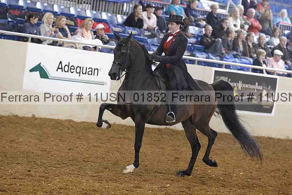 Proof 11usn_01852
