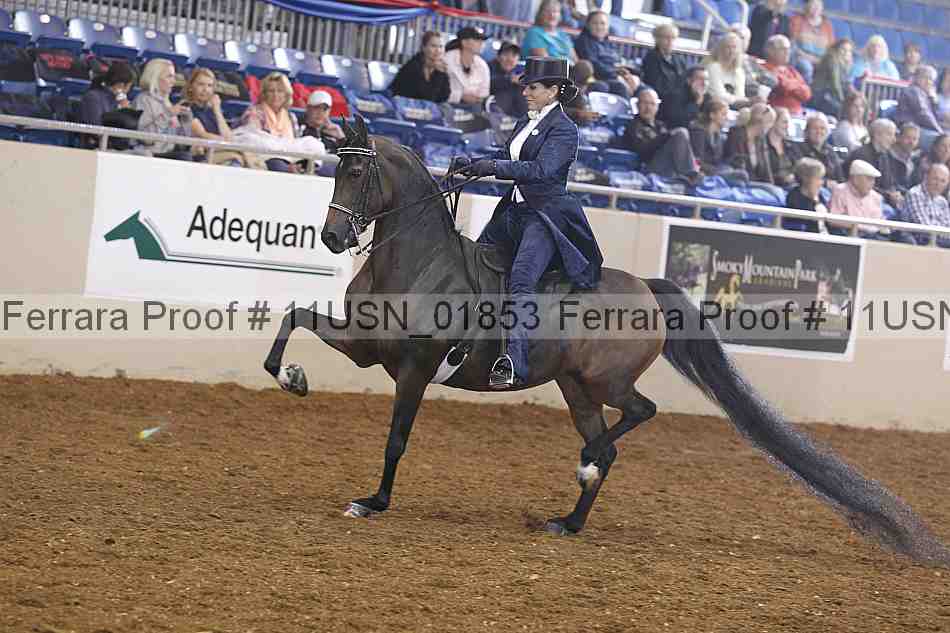 Proof 11usn_01853