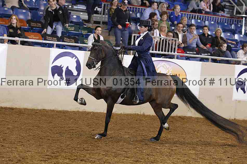 Proof 11usn_01854