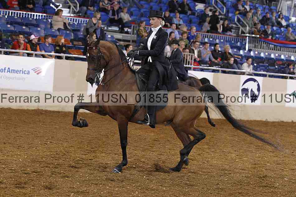 Proof 11usn_01855