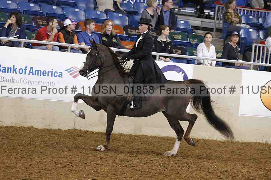 Proof 11usn_01858