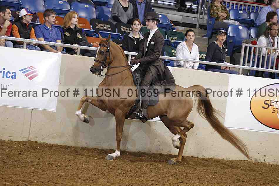 Proof 11usn_01859