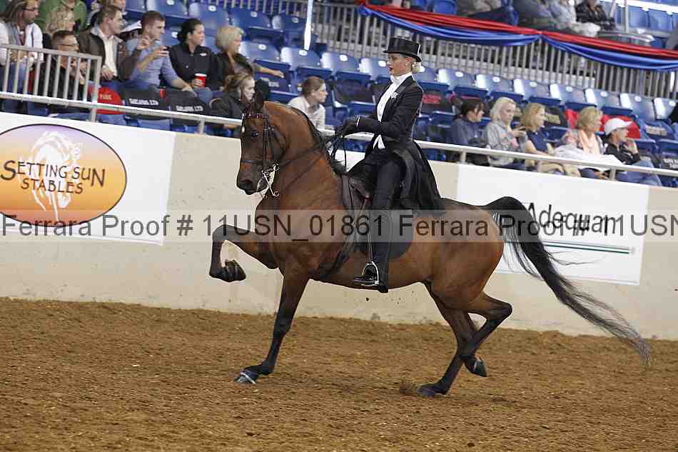 Proof 11usn_01861