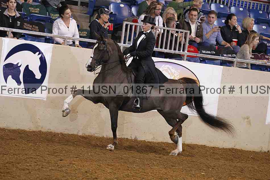 Proof 11usn_01867