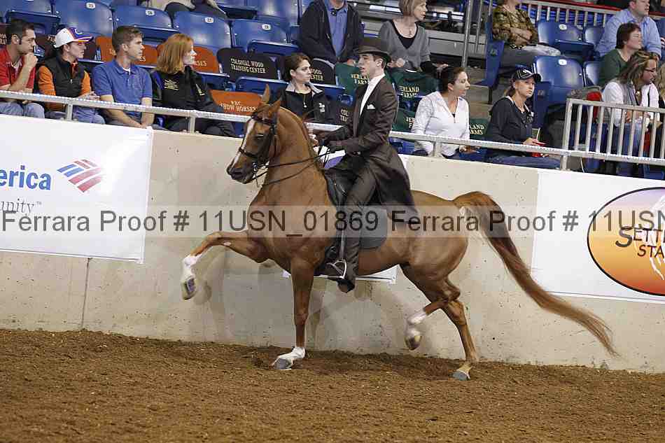 Proof 11usn_01869