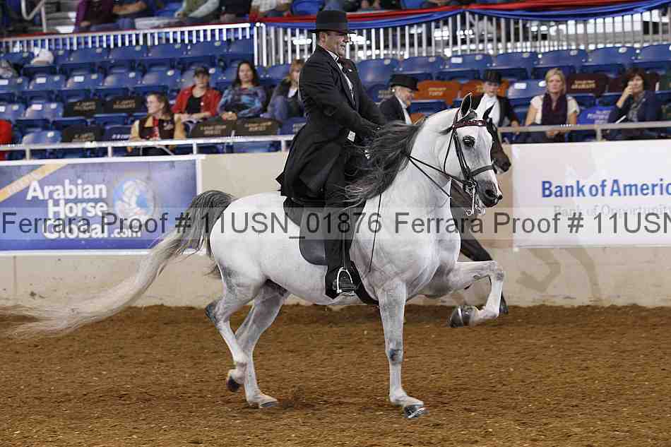 Proof 11usn_01876