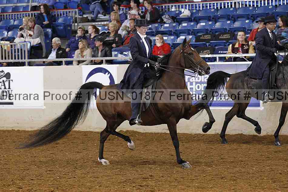 Proof 11usn_01877