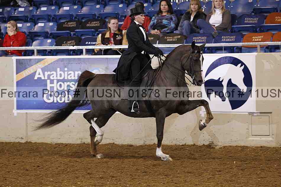 Proof 11usn_01878