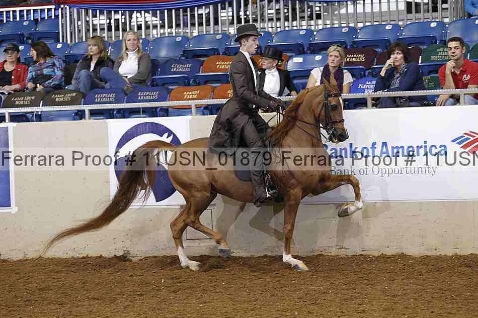 Proof 11usn_01879