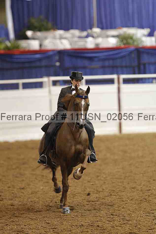 Proof 11usn_02056