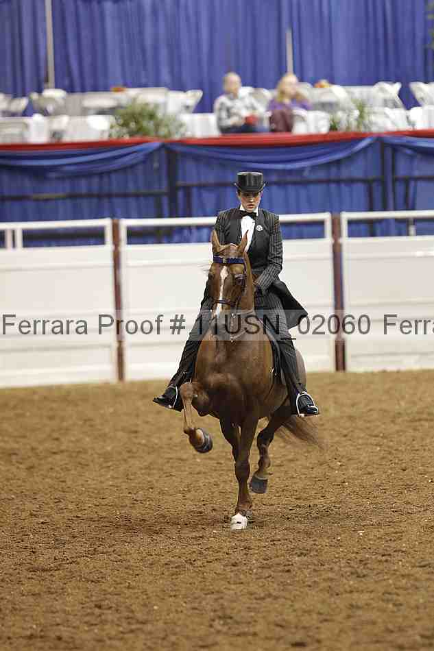 Proof 11usn_02060