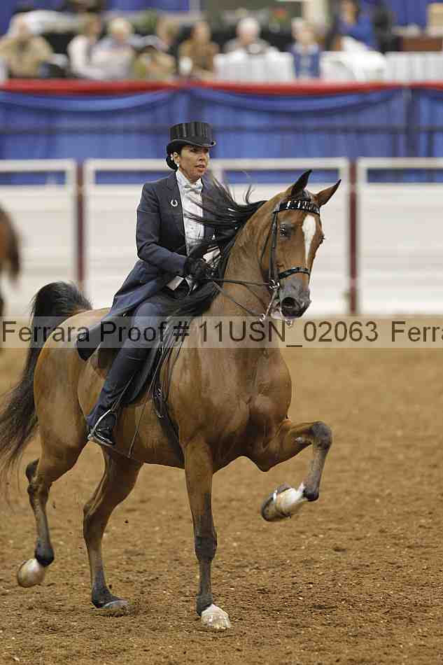 Proof 11usn_02063