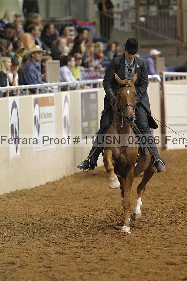 Proof 11usn_02066