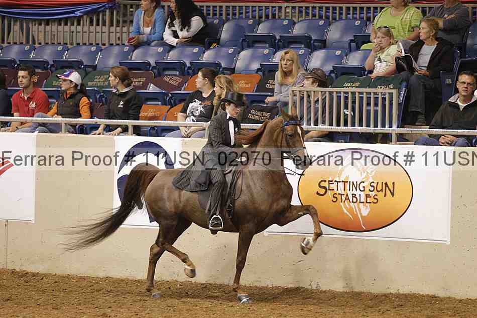 Proof 11usn_02070