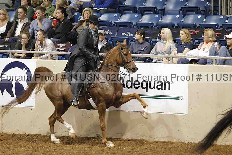 Proof 11usn_02071