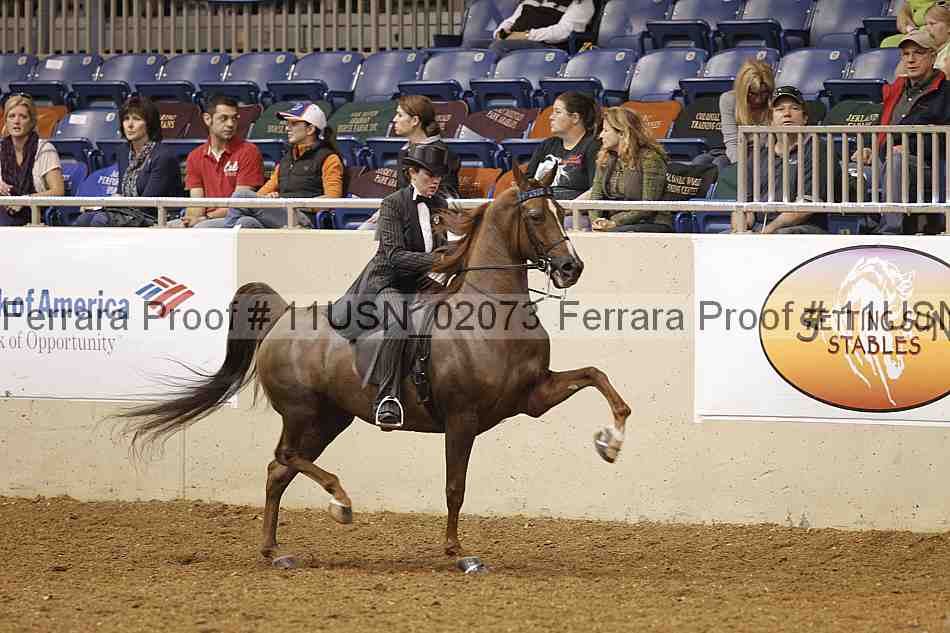 Proof 11usn_02073