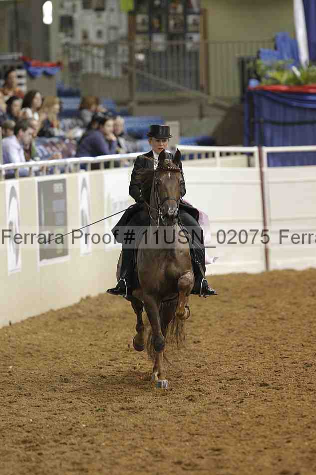 Proof 11usn_02075