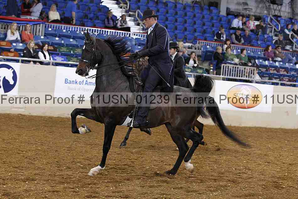 Proof 11usn_01239
