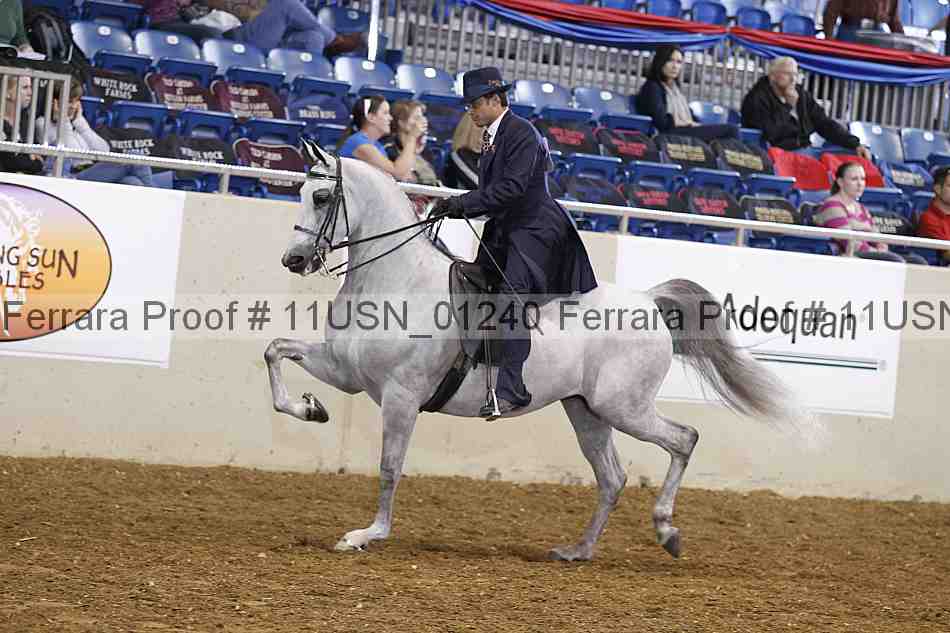Proof 11usn_01240