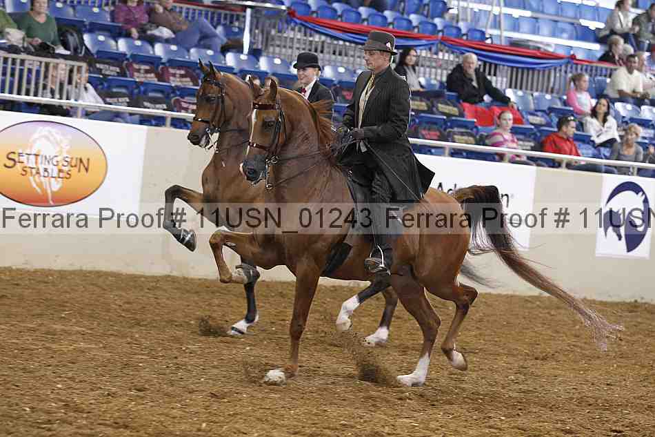 Proof 11usn_01243
