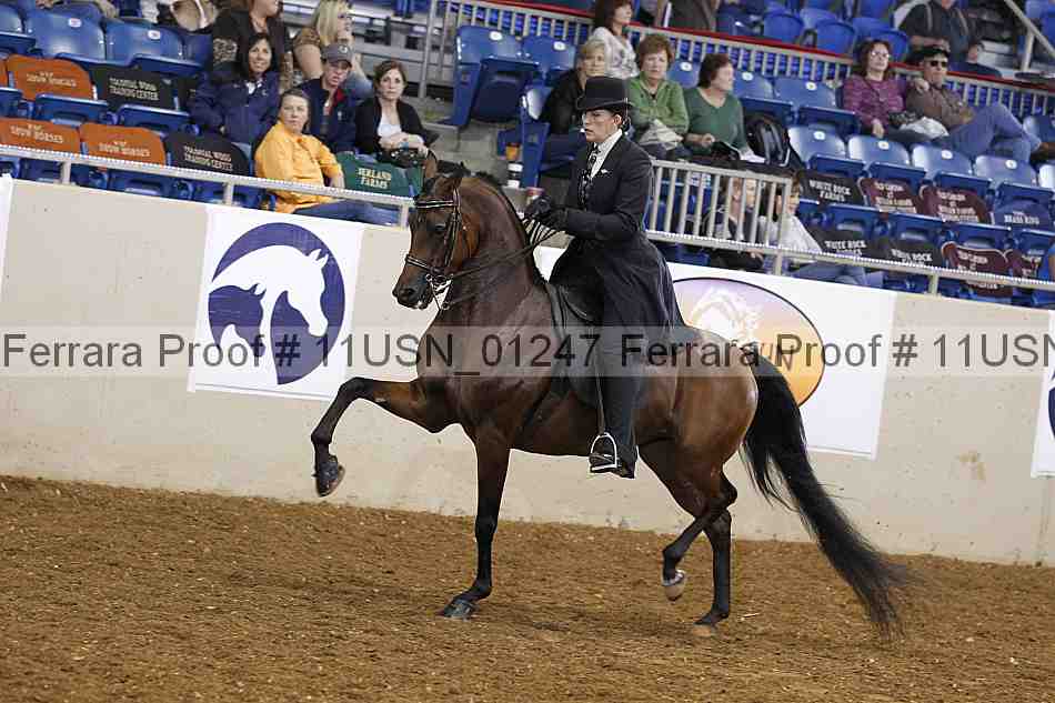 Proof 11usn_01247