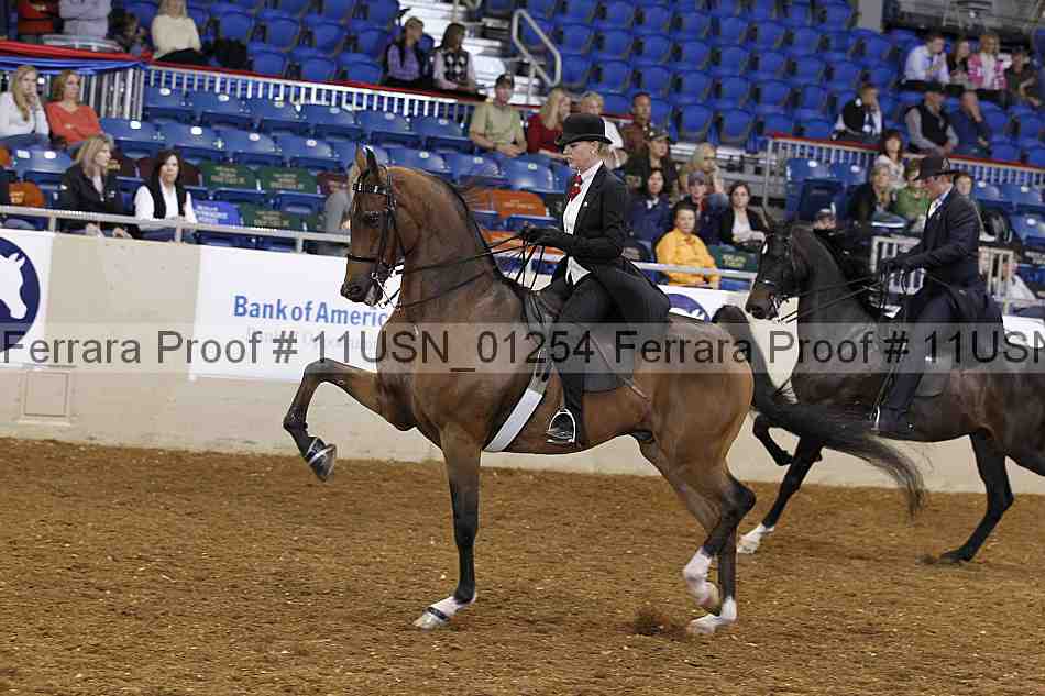 Proof 11usn_01254