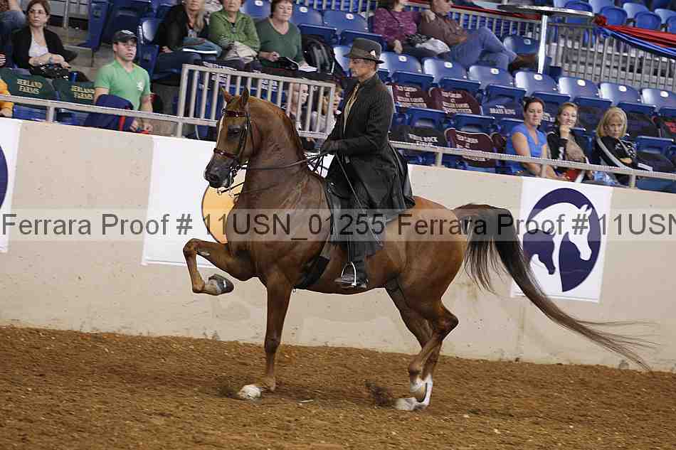 Proof 11usn_01255