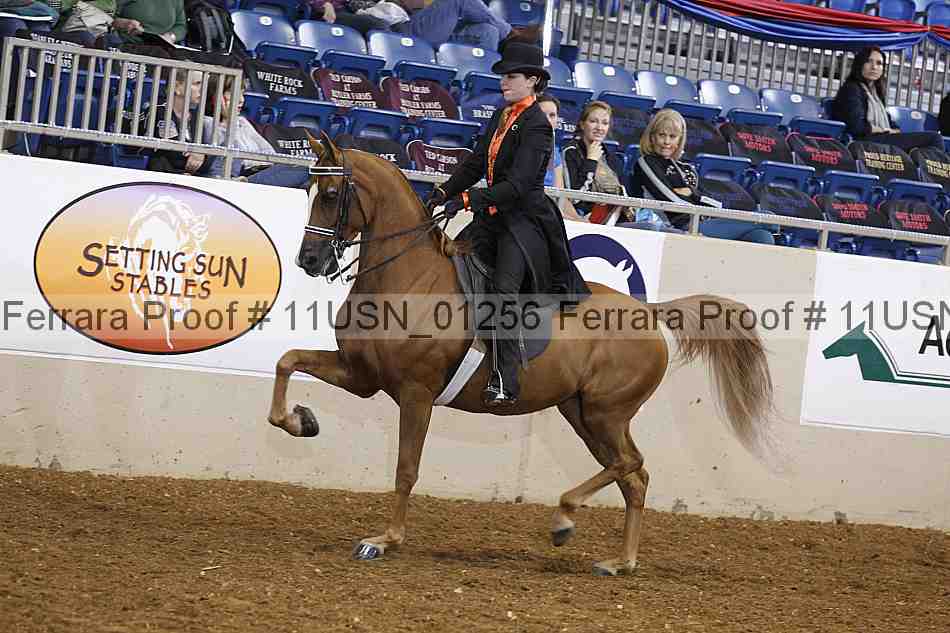 Proof 11usn_01256