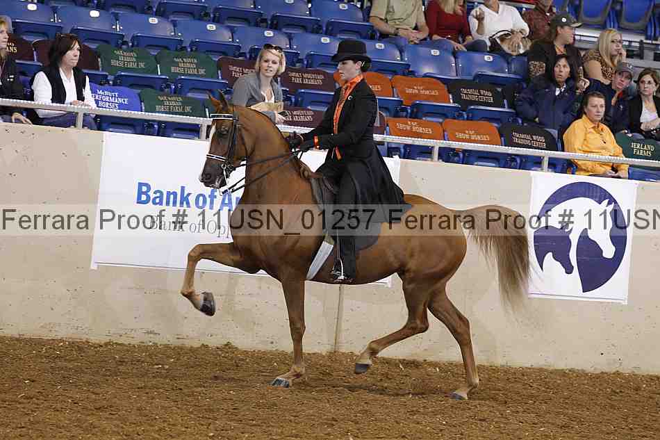 Proof 11usn_01257