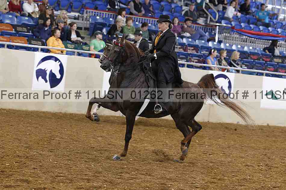 Proof 11usn_01262