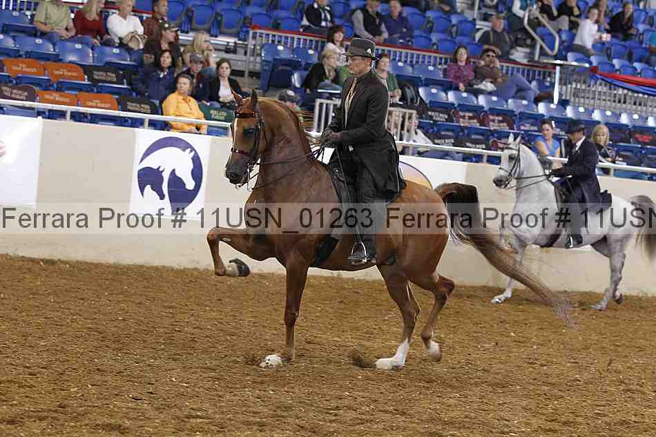 Proof 11usn_01263