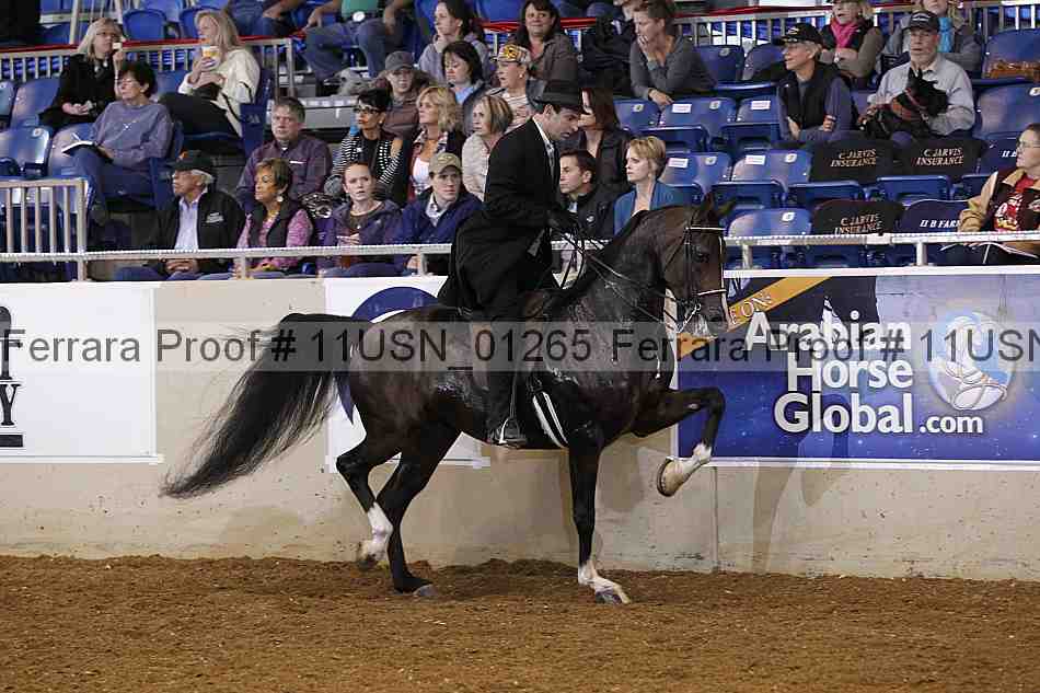 Proof 11usn_01265