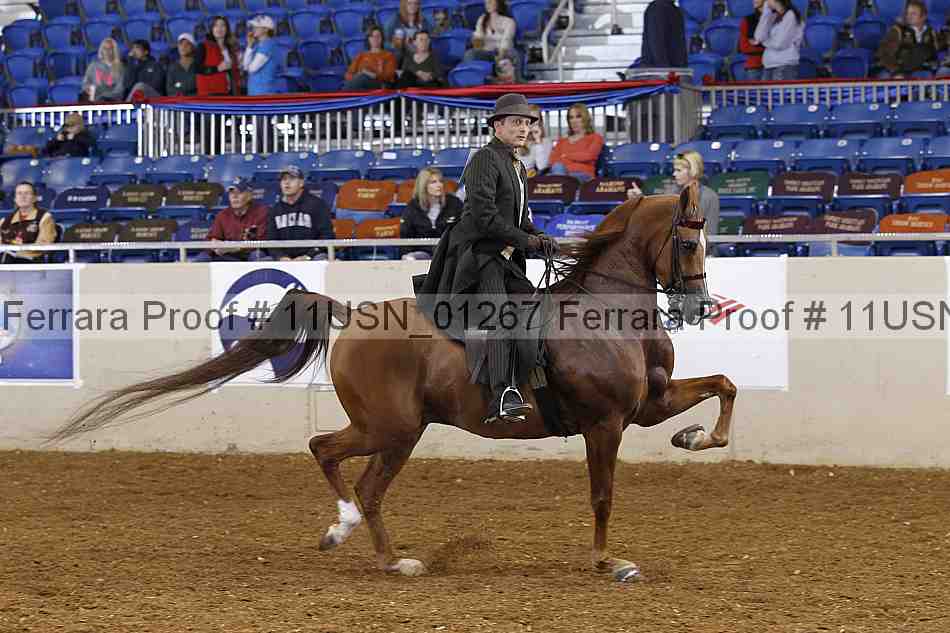 Proof 11usn_01267