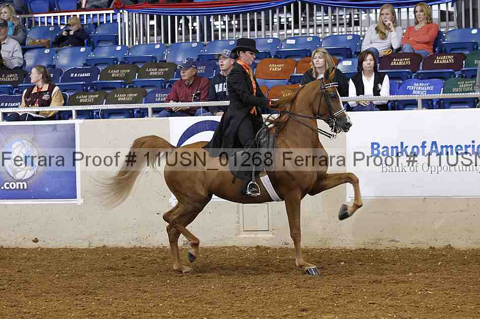 Proof 11usn_01268
