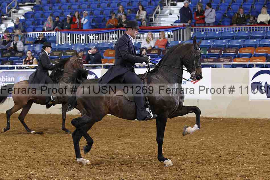 Proof 11usn_01269